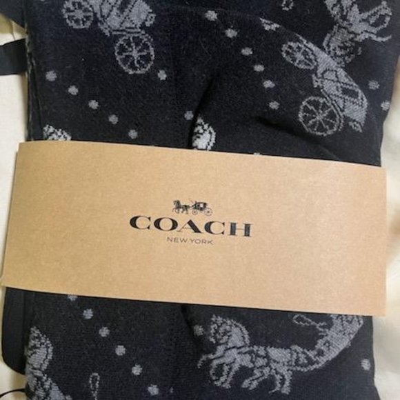 NWT Horse ๐ and Carriage Hat and Glove set - Picture 8 of 10